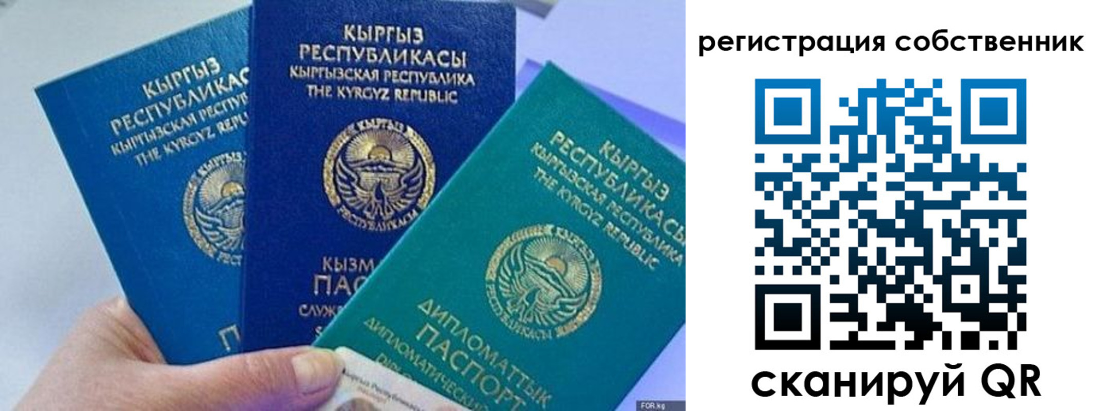 регистрация в Сольцах